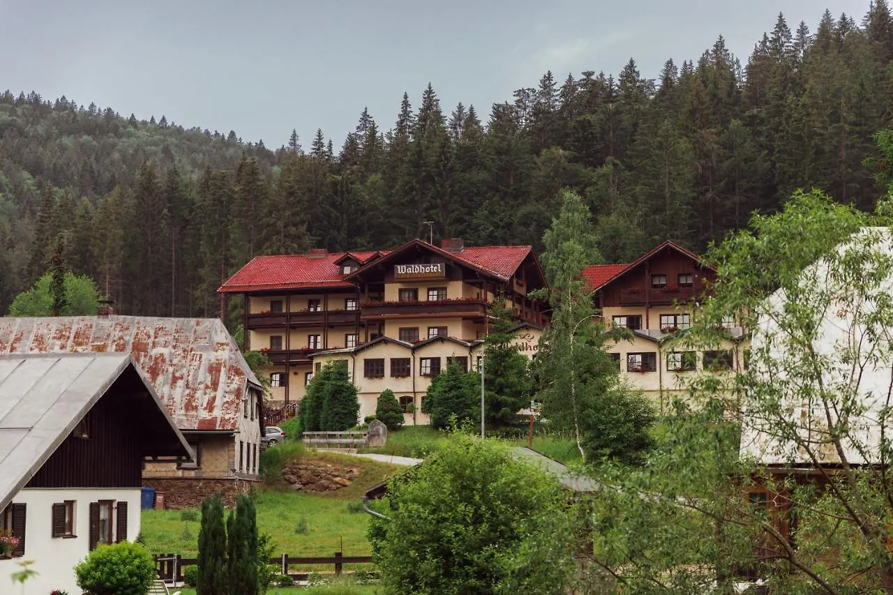 Waldhotel Seebachschleife Bayerisch Eisenstein Hotel